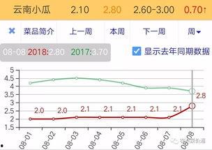 小瓜今日价格行情走势,今日行情走势解析
