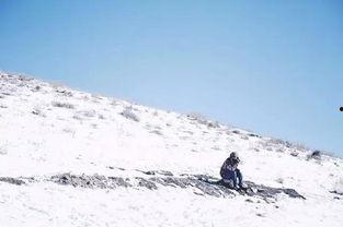 崇礼滑雪场明星网红,明星网红打卡胜地，冰雪奇缘之旅