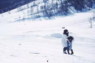崇礼滑雪场明星网红,明星网红打卡胜地，冰雪奇缘之旅