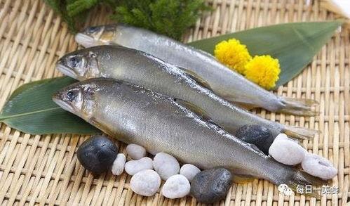 今日八瓜鱼价格,今日市场行情一览