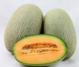 潮州今日哈密瓜价格多少,新鲜上市，品质保证！”