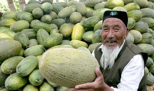 潮州今日哈密瓜价格多少,新鲜上市，品质保证！”