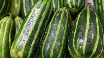 今日宜的瓜,揭秘那些鲜为人知的瓜界秘闻