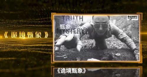 明星网红命理分析图片,命理分析图片深度解读