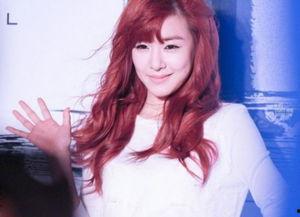 哪些明星网红有黑历史