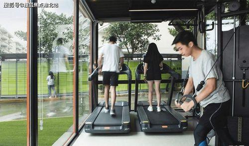 海南牛三网纹瓜今日行情,丰收季里的价格波动与市场动态