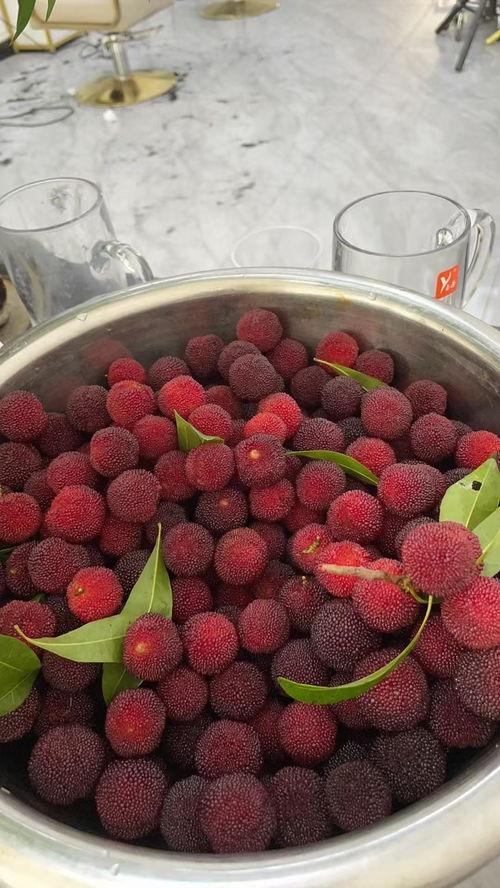 沈阳哈密瓜今日头条,今日头条聚焦甜蜜美味，探寻产地魅力