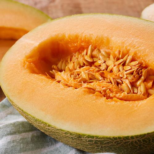 沈阳哈密瓜今日头条,今日头条聚焦甜蜜美味，探寻产地魅力