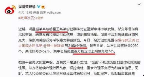 明星网红别聊政治话题,明星网红倡导积极生活态度