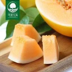 海沙蜜瓜今日价格,甜蜜新季，价格几何？