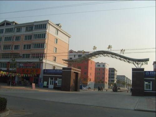 肥城王瓜店今日价格多少,实惠之选，品质保证