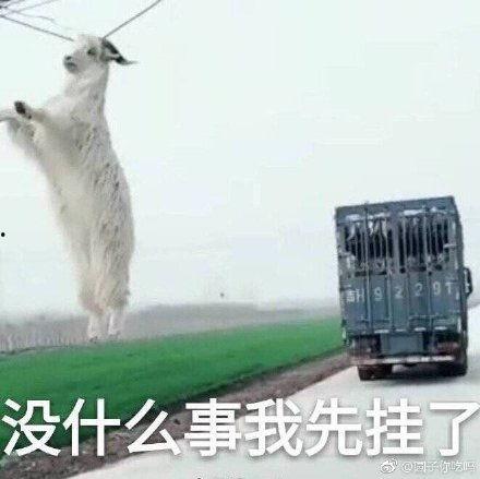 开头今日份瓜来了,娱乐圈最新爆料大揭秘