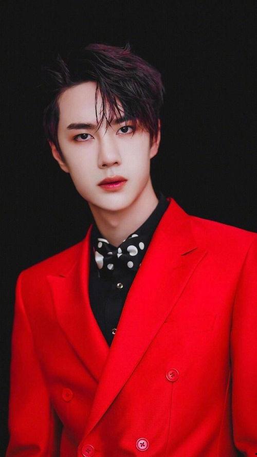 江南哥明星网红是谁,揭秘网红明星背后的故事