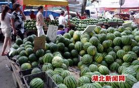 武汉汉瓜今日行情价格,价格波动解析与市场动态一览”