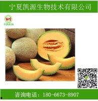 今日哈密瓜批发价格查询,今日行情一览