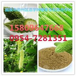 今日水瓜价格,市场行情一览