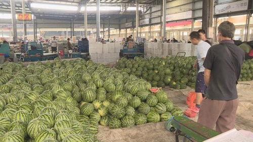 盐城今日瓜价行情,今日瓜价行情一览