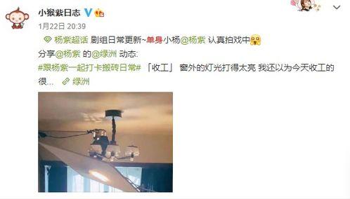 今日田瓜行情最新消息,今日最新价格走势解析