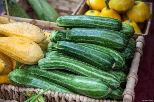 寿光吊瓜今日价格,市场行情一览