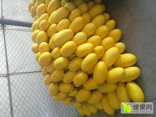 寿光哈密瓜今日价格行情,价格行情一览”