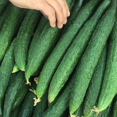 今日三千万大瓜是啥,热点事件背后的真相与影响