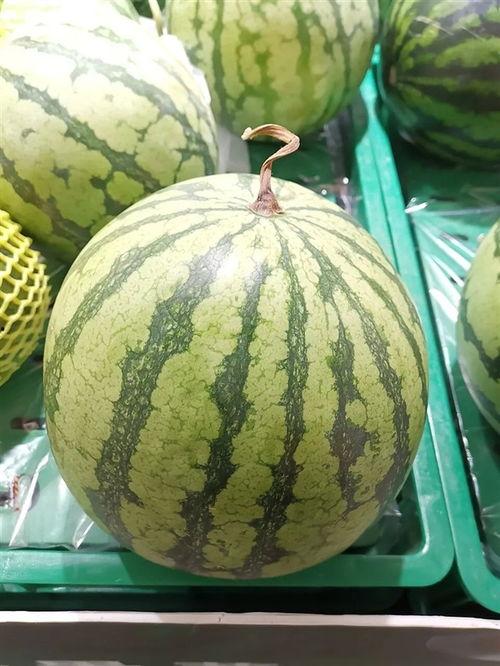 今日吃瓜每日必吃大瓜图片,揭秘吃瓜群众必看的焦点事件