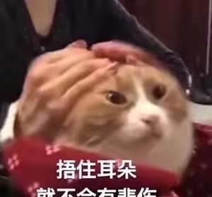 明星网红偷税漏税论文,明星网红偷税漏税现象的成因与治理策略分析