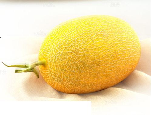 湖南哈密瓜价格今日价,品质佳品，实惠之选