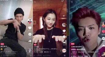 明星网红打榜视频大全,盘点热门榜单精彩瞬间