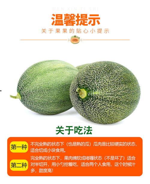 海南哈密瓜批发今日价格,今日行情一览