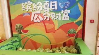 今日宜扭蛋无忧的瓜,揭秘无忧瓜背后的神秘故事