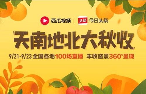 今日宜扭蛋无忧的瓜,揭秘无忧瓜背后的神秘故事