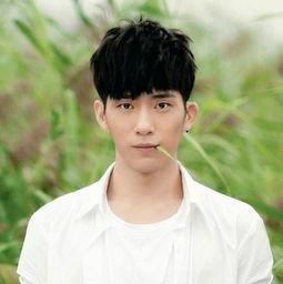 都哪些明星网红在沈阳,璀璨星光下的城市风采