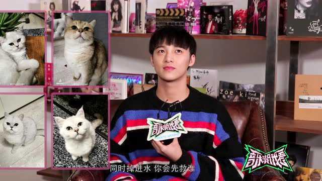 各路明星网红推荐视频大全