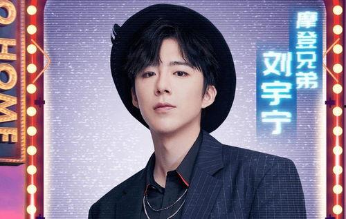 阳江明星网红有哪些名单,揭秘明星网红的璀璨星光