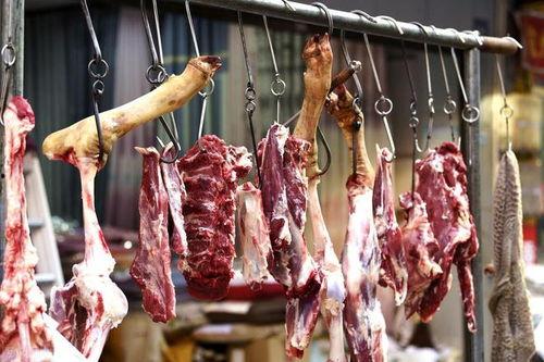 今日牛瓜条多少钱一斤啊,每斤多少钱？