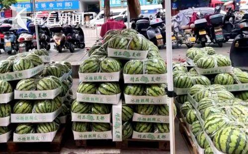 今日牛瓜条多少钱一斤啊,每斤多少钱？