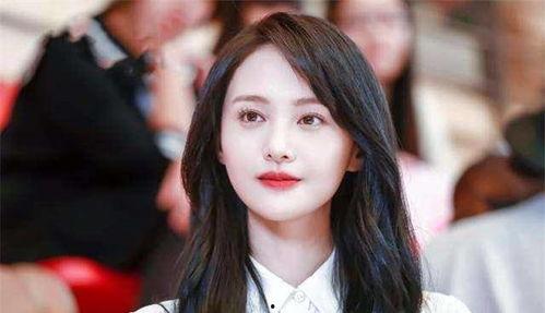 莆田明星网红排名榜