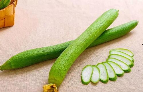 今日养生吃瓜,探索今日养生吃瓜之道