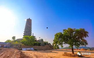 子洲瓜则湾今日新闻,今日新闻聚焦乡村振兴新篇章