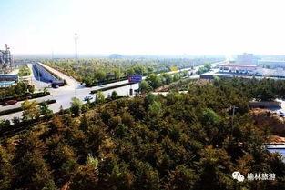 子洲瓜则湾今日新闻,今日新闻聚焦乡村振兴新篇章