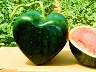 今日吃瓜-13号球,13号球背后的惊人真相