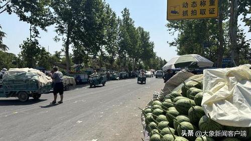 今日韩寺小吊瓜价格,实惠与品质并存