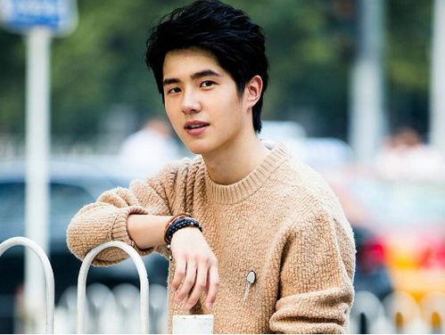 庄河明星网红有哪些名字,揭秘明星网红们的名字之谜