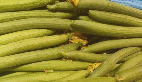 今日山东茭瓜价格行情,今日市场动态一览