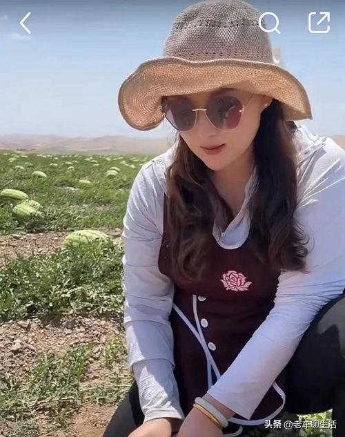 今日石头瓜价格,涨跌波动揭秘