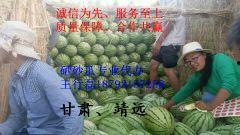 今日石头瓜价格,涨跌波动揭秘