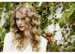 黑明星网红视频素材下载,揭秘热门短视频背后的制作秘密