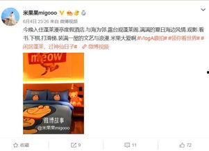 只有河南明星网红打卡,河南明星网红打卡地探秘