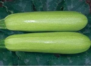 莘县黄心小吊瓜今日价格,价格行情一览”